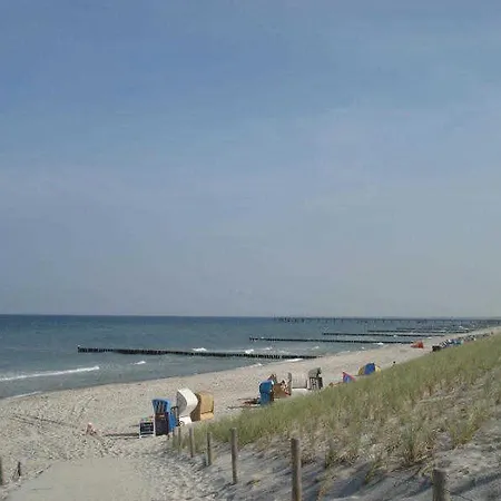 Katrina - Nahe Dem Rathaus