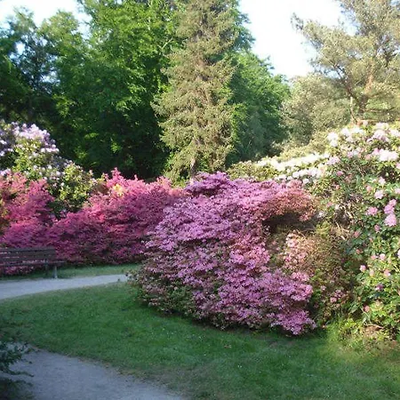 Katrina - Nahe Dem Rathaus