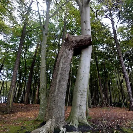 Katrina - Nahe Dem Rathaus Апартаменты Граль-Мюриц